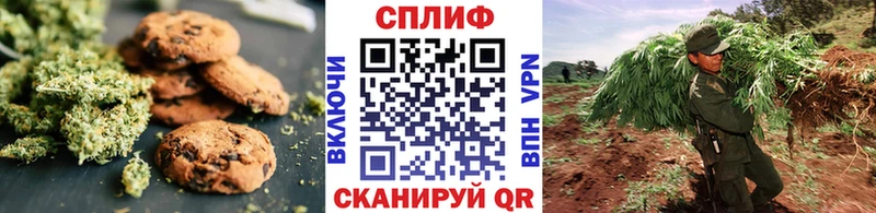 хочу наркоту  Азнакаево  МЕГА маркетплейс  Cannafood конопля 