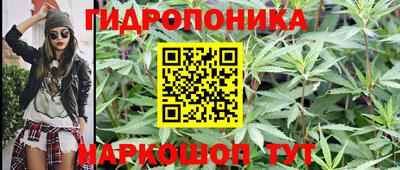 трава Усть-Джегута