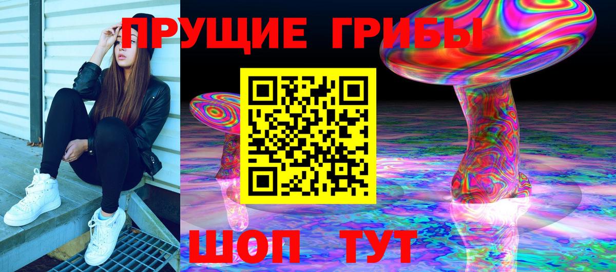Галлюциногенные грибы GOLDEN TEACHER Азнакаево